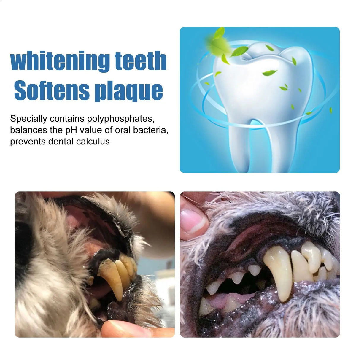 Natural Dental Care Foam for Dogs – Tartar Remover & Fresh Breath Solution