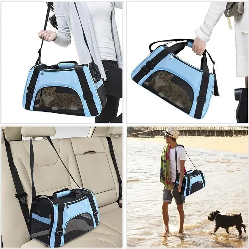 Ein hellblaues, faltbares Transportgefäß für Haustiere wird von einer Person in der Nähe des Wassers getragen.