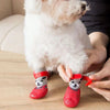 Calcetines Antideslizantes para Perros: Protección para las Patas
