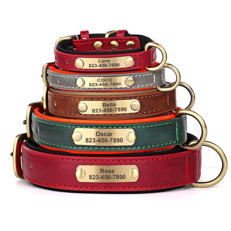 Personalisiertes Leder-Hundehalsband mit graviertem ID-Tag