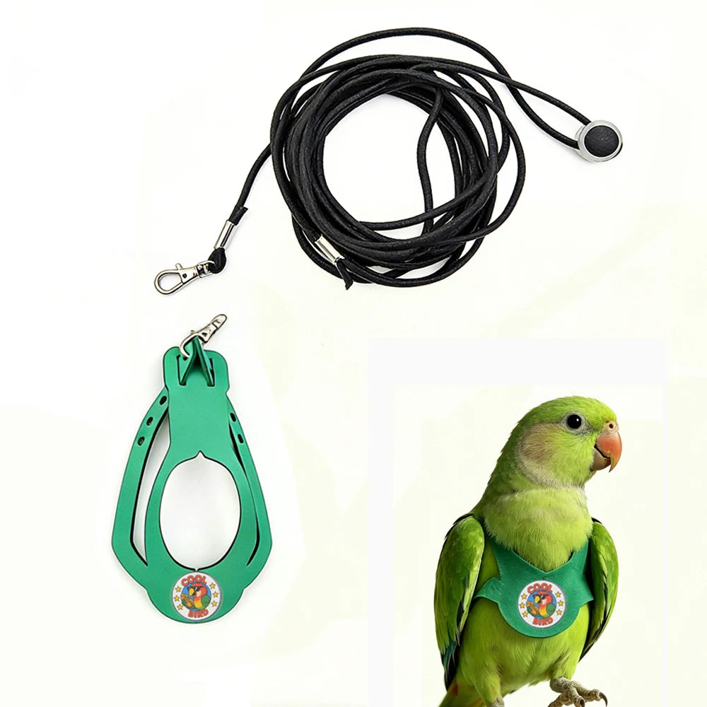A green parrot harness and elastic leash set with a green collar shown next to a green parrot.