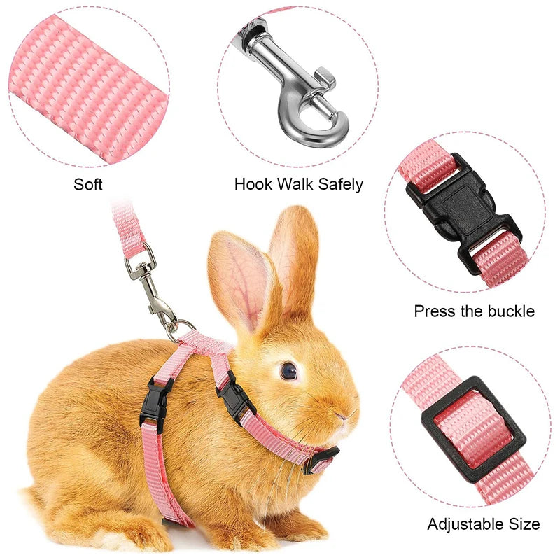 Adjustable Nylon Harness and Leash Set for Small Pets
