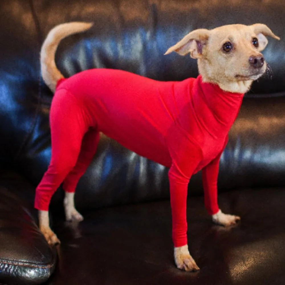 4-Leg Dog Recovery & Anxiety Calming Onesie