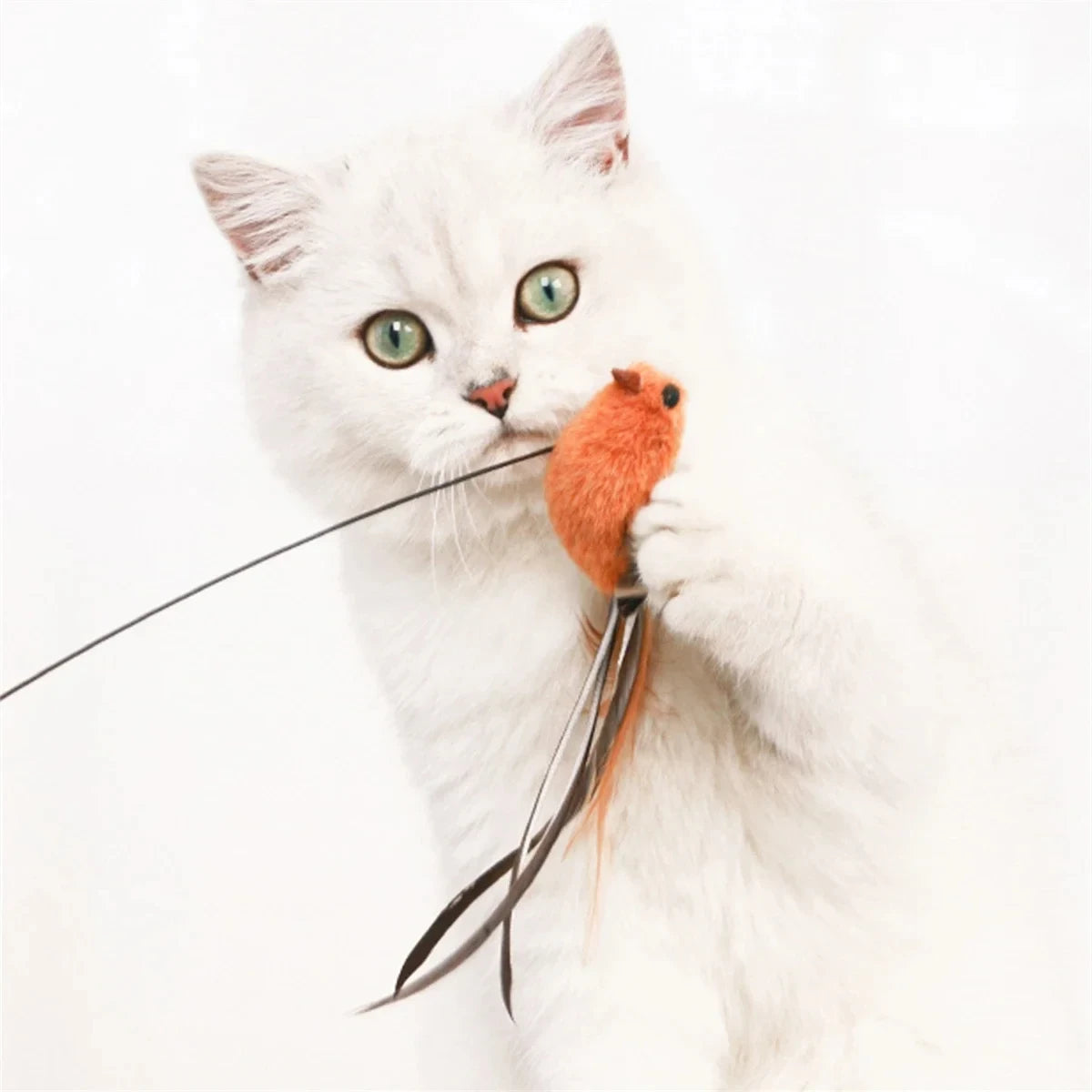 Eine weiße Katze interagiert mit einem orangen Federspielzeug mit einem dünnen Draht