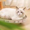 Grattoir pour chat en carton ondulé rond