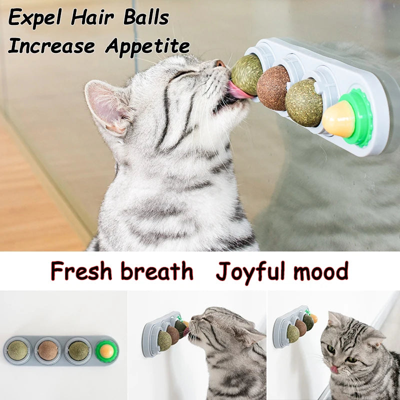 Edible Catnip Wall Balls for Dental Care and Play