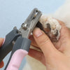 A hand is using stainless steel pet nail clippers to trim the nail of a white and brown pet.