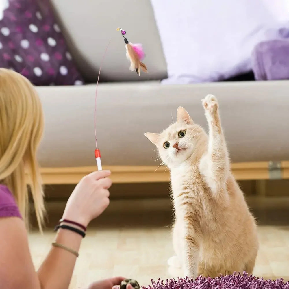 Un chaton joue avec un jouet en plume rose tandis qu'une personne tient une baguette rouge sur un canapé clair.
