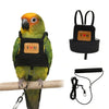 Adjustable Parrot Flying Harness with Leash for Small to Medium Birds
