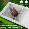 Reptile Food and Water Bowl with Anti-Slip Ramp