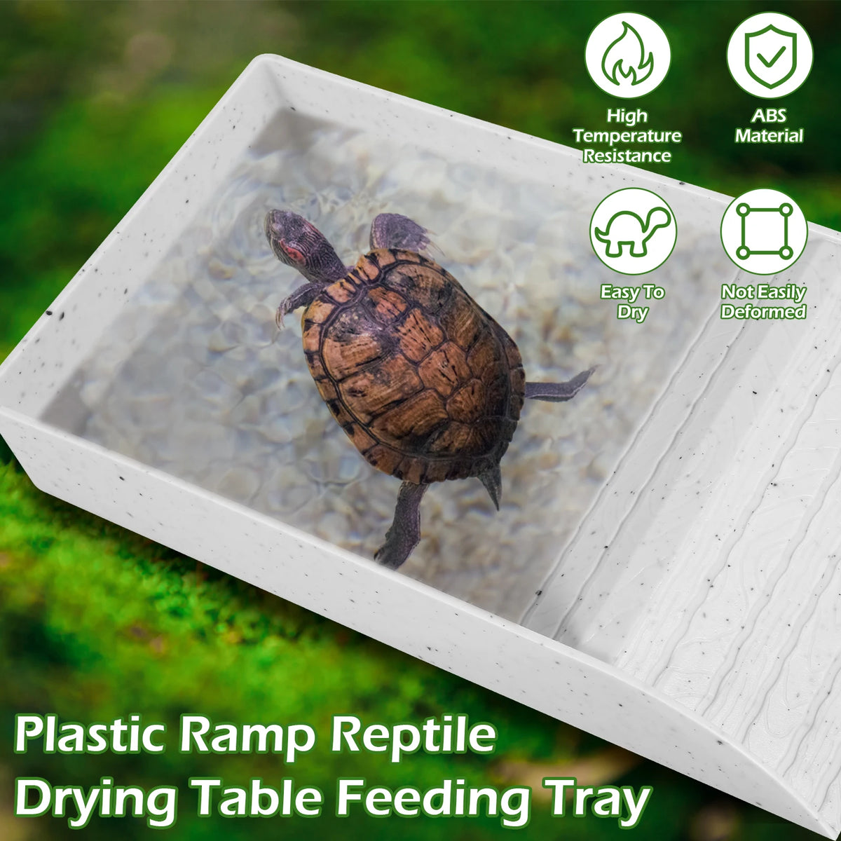 Reptile Food and Water Bowl with Anti-Slip Ramp