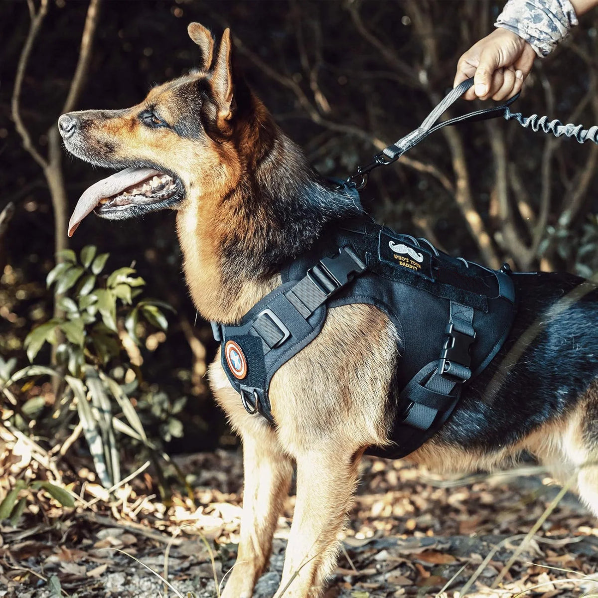 Tactical Dog Harness with Handle and Hook & Loop Panels