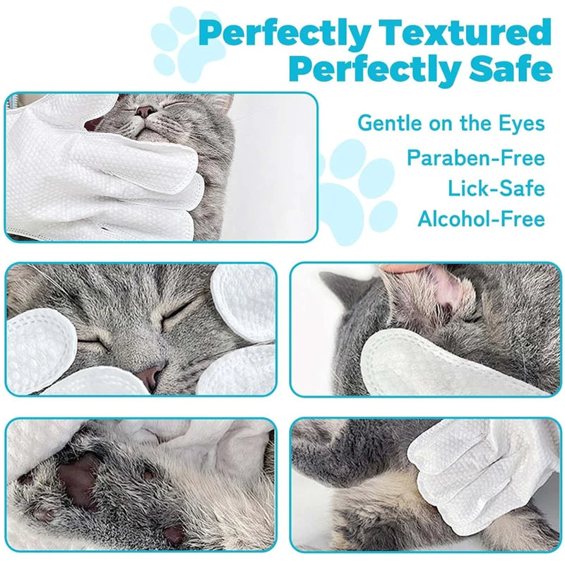 A set of pet cleaning wipes and a glove used to gently clean a cat's eye area.