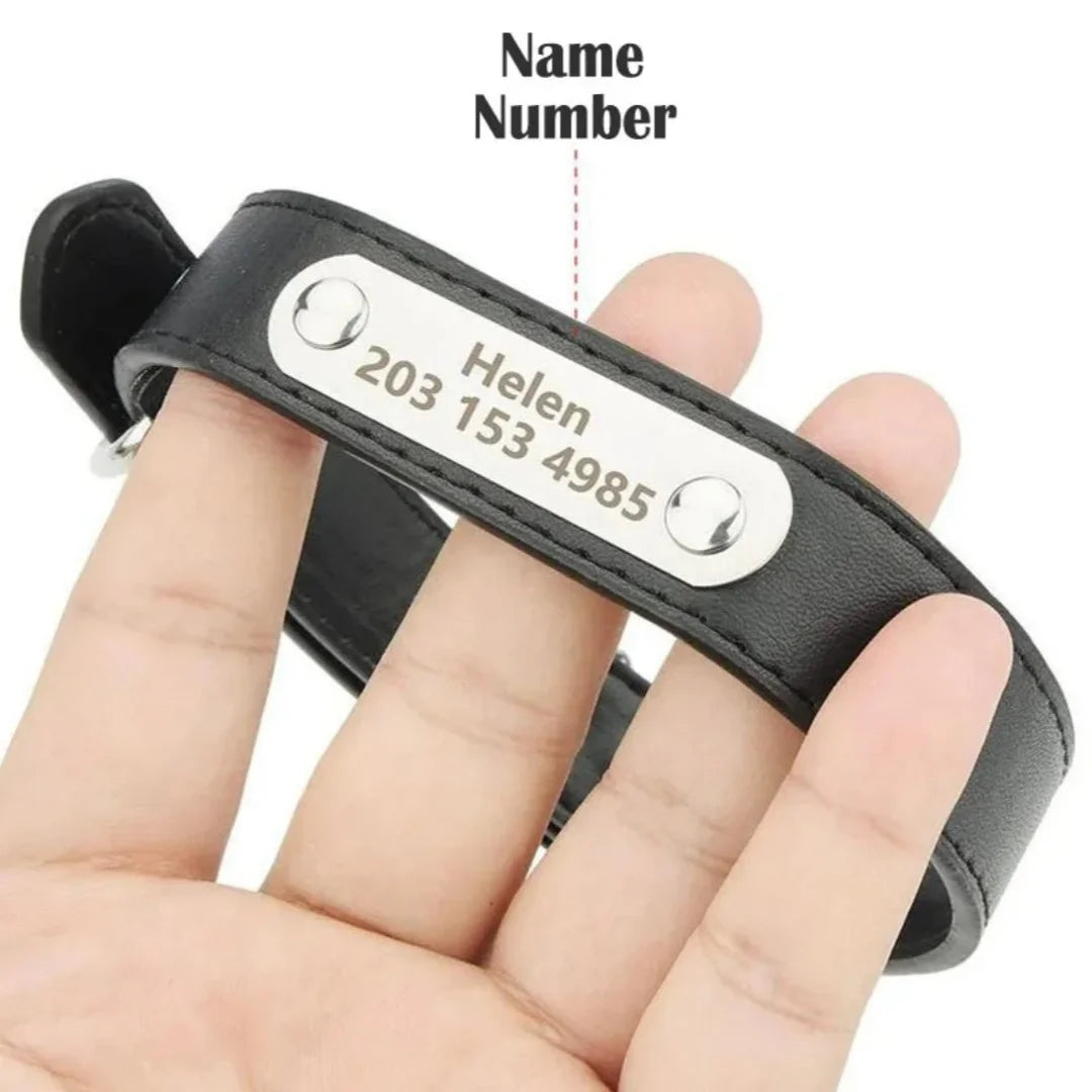 A black PU leather dog collar with a custom engraved nameplate showing the name Helen and number 2031534985 being held by a h