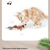 Rechargeable Chirping Bird Cat Toy with Catnip