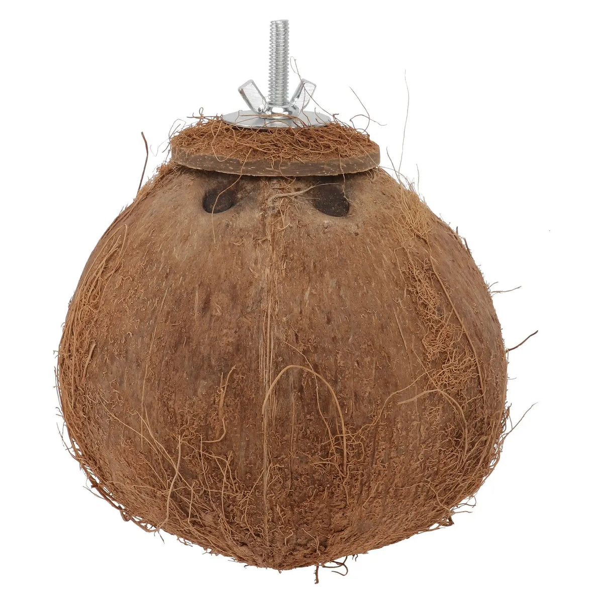 A spherical, brown natural coconut shell bird nest toy with a metal wire for hanging.