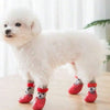 Calcetines Antideslizantes para Perros: Protección para las Patas
