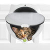 A gray cat is peering out of a white pet door flap, which is part of a larger white housing.