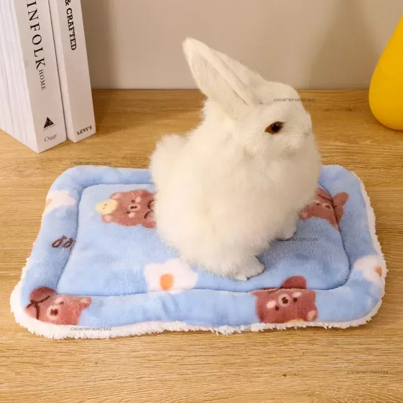 A fluffy white rabbit is sitting on a blue fleece pet bed mat decorated with pink paw prints.