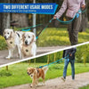 A person is walking two dogs on a reflective dual dog leash with traffic handles in a park.