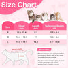 Size chart for a post-surgery recovery suit for cats showing measurements in inches and reference weight in pounds
