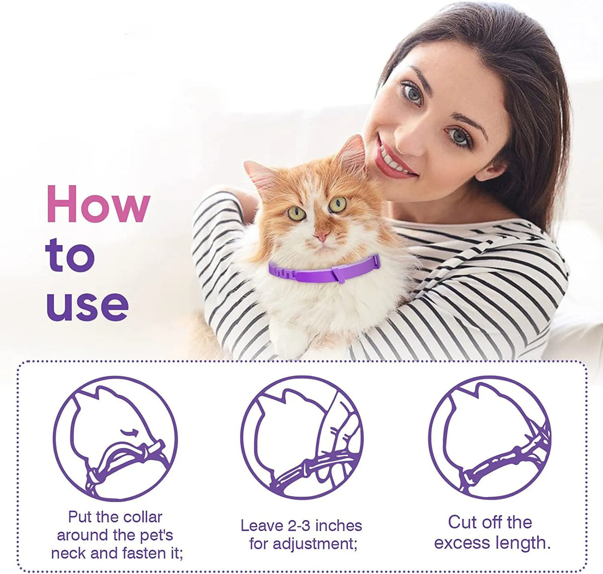 Una mujer sostiene un gato naranja peludo con un collar morado, demostrando cómo usar el collar para mascotas.