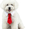 Adjustable Bow Tie Collar for Cats and Small Dogs