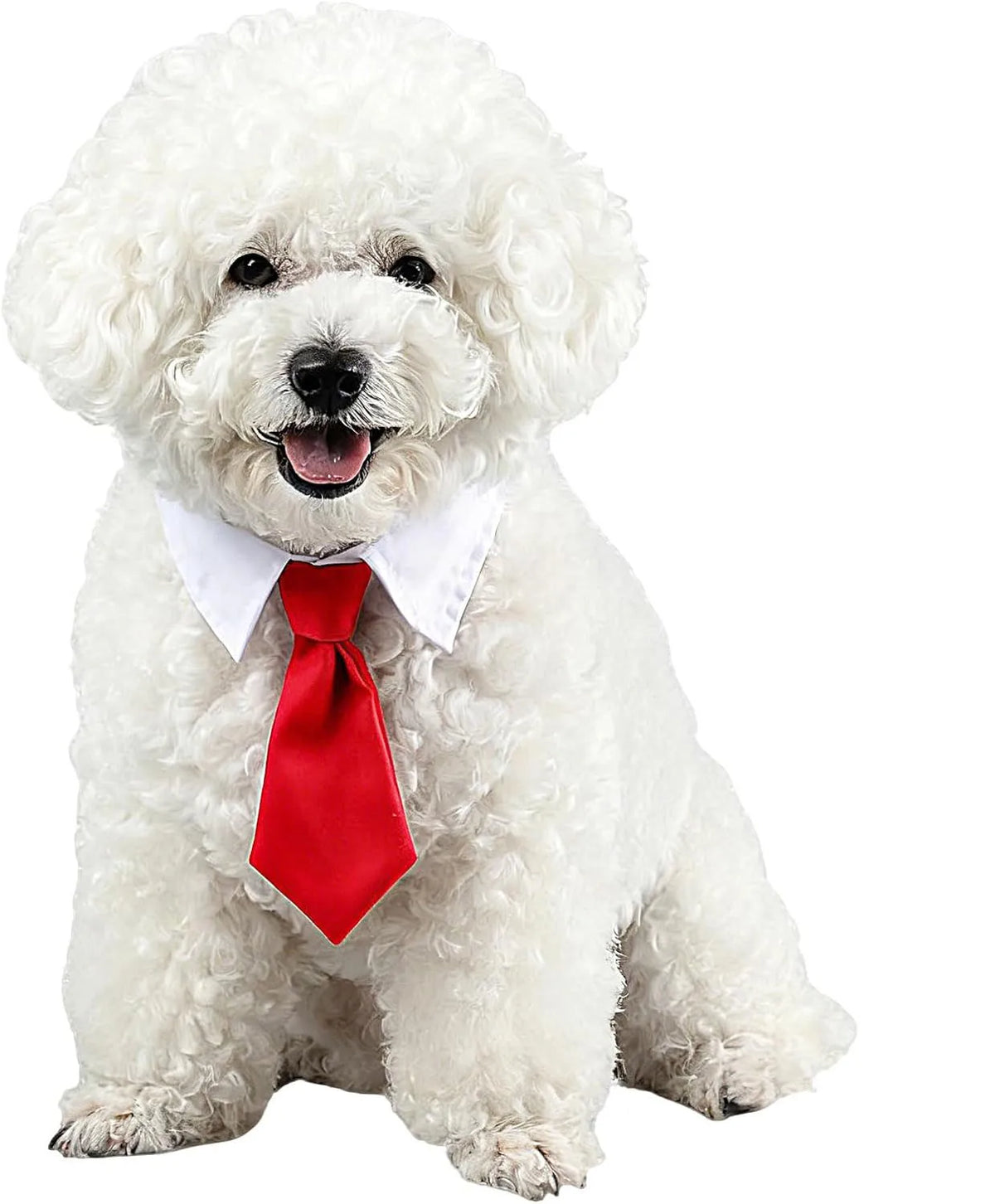 Adjustable Bow Tie Collar for Cats and Small Dogs