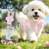 A fluffy white dog wearing pink dog shorts outdoors.