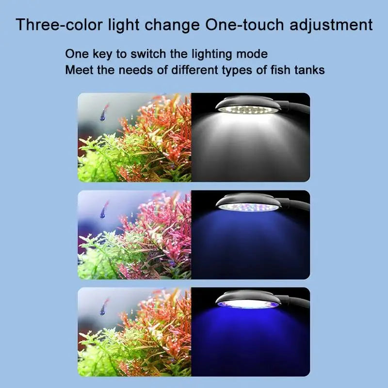 Three-color light change one-touch adjustment for fish tanks showing different lighting modes.