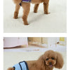 Reusable Dog Diapers for Heat Cycles and Incontinence
