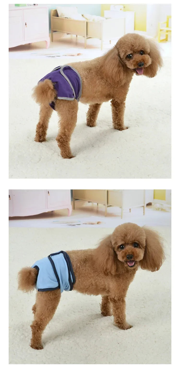 Reusable Dog Diapers for Heat Cycles and Incontinence