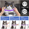 Un gato gris con collar morado, junto a instrucciones de uso y tallas.