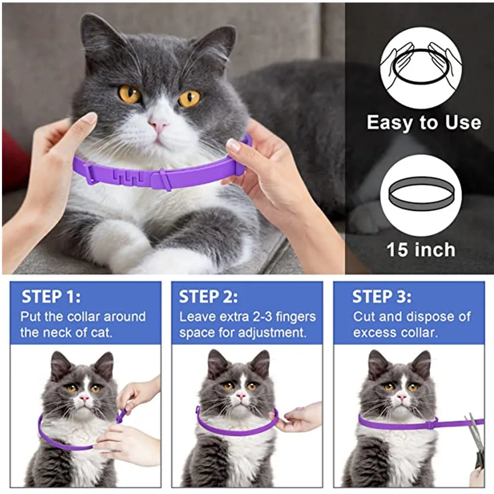 Un gato gris con collar morado, junto a instrucciones de uso y tallas.