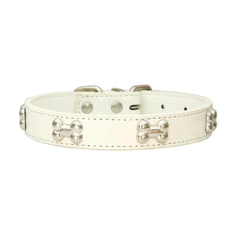 A white leather dog collar with silver-toned hardware and a buckle.