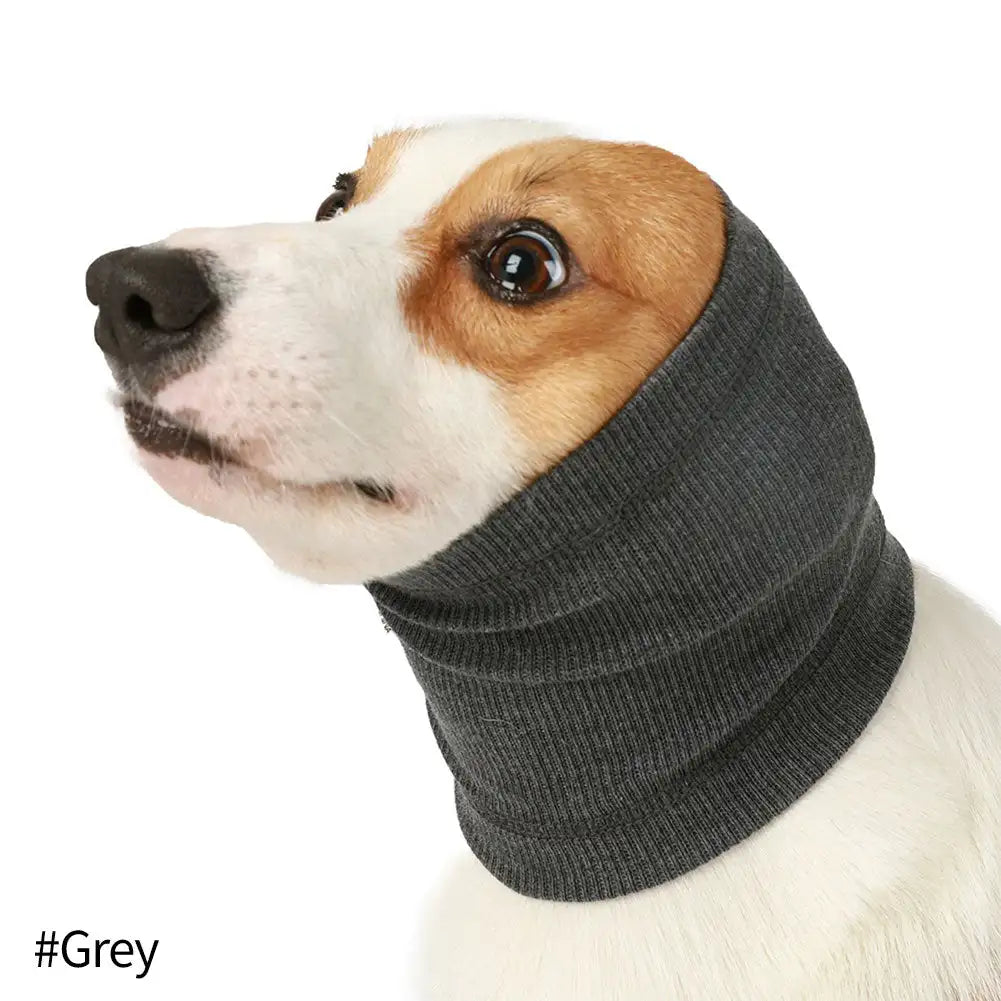 A dog wearing a grey neck and ear muff for anxiety relief.
