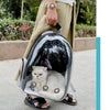 A transparent pet backpack is being held by a person, with a white cat inside.
