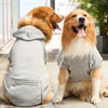 A golden retriever wearing a gray reversible plaid dog jacket with a cozy fleece lining.