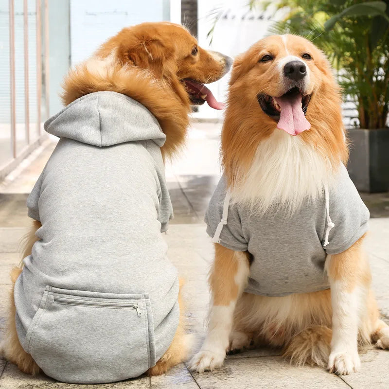 A golden retriever wearing a gray reversible plaid dog jacket with a cozy fleece lining.