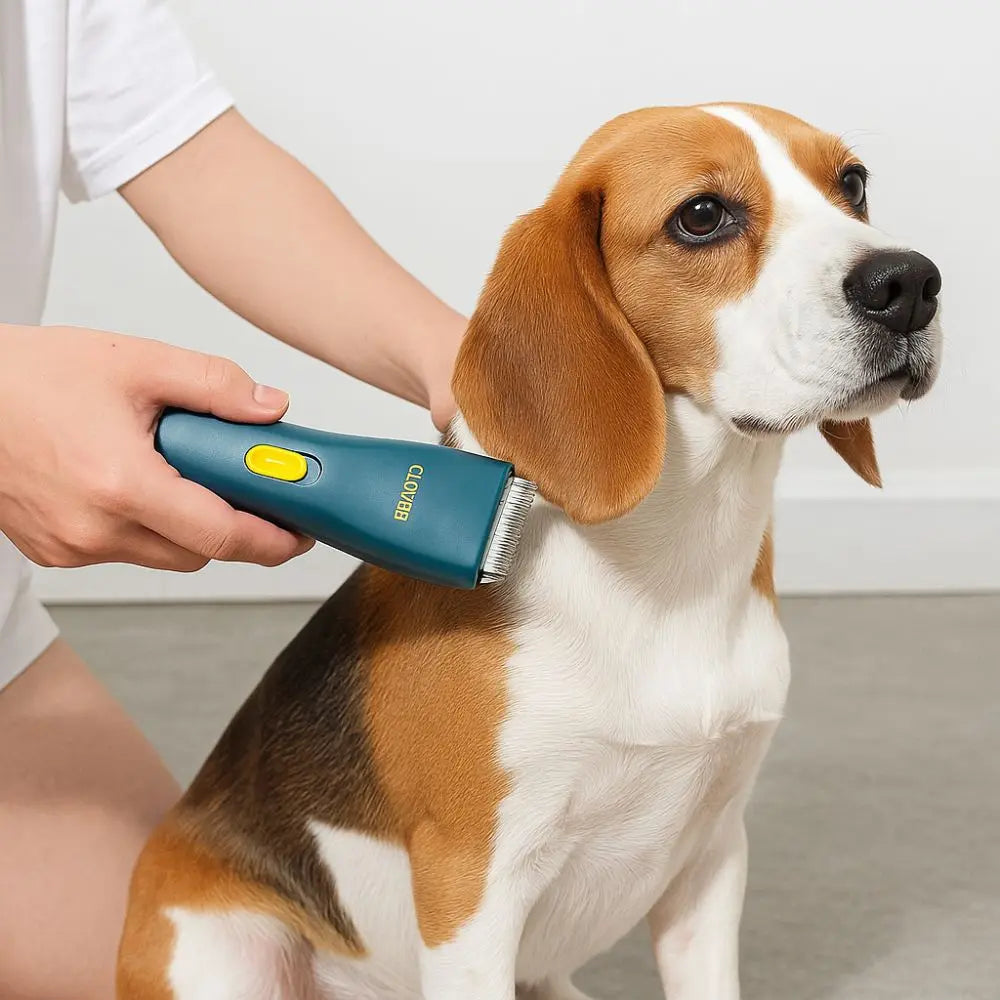 Una persona usa un cortador de pelo portátil azul en la oreja de un perro naranja y blanco.