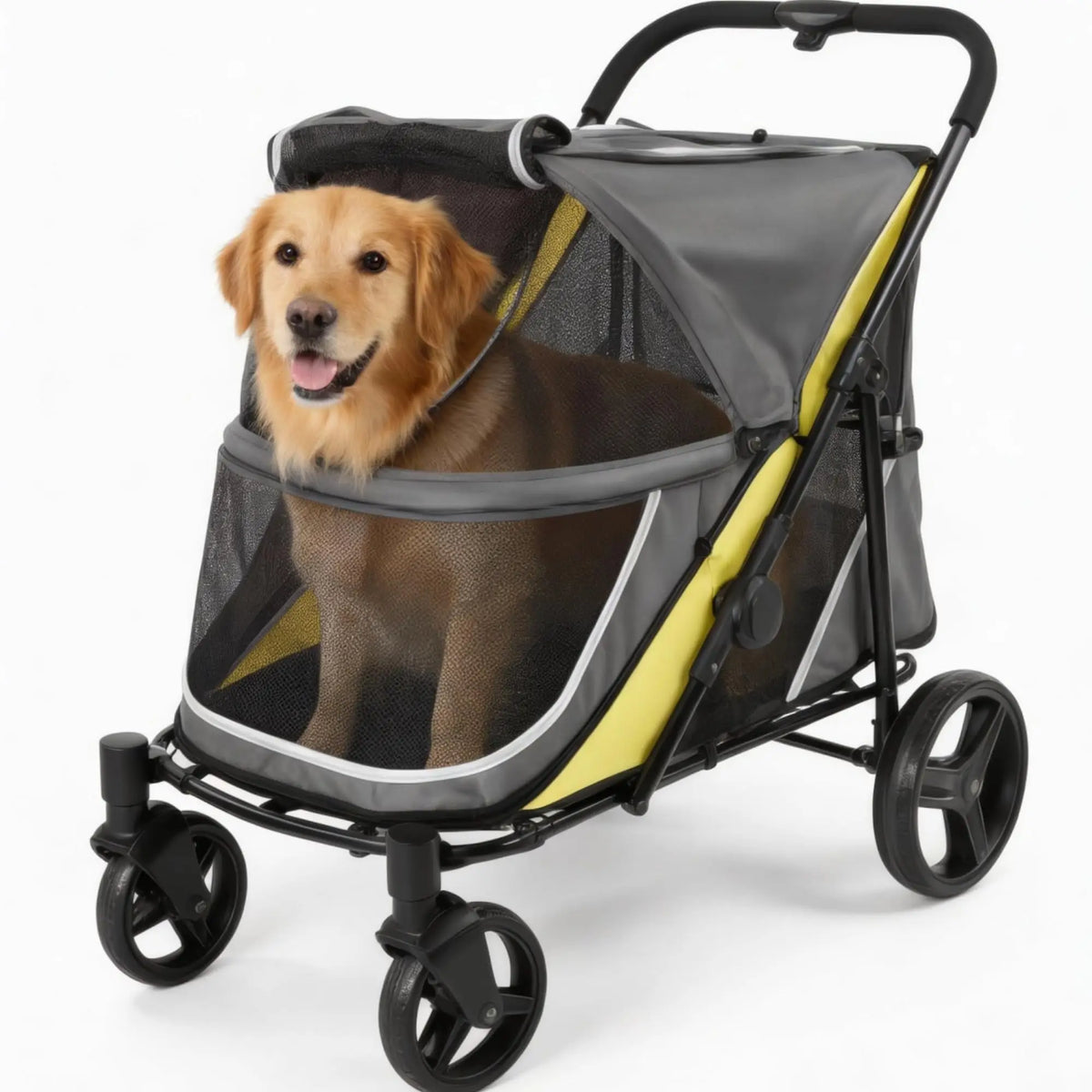 A brown dog is sitting inside a black and yellow all-terrain dog stroller.