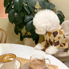 A fluffy white dog wearing a yellow and brown plaid knit sweater sits next to a cup of coffee.