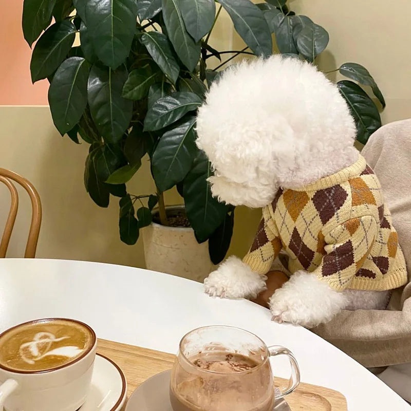 A fluffy white dog wearing a yellow and brown plaid knit sweater sits next to a cup of coffee.