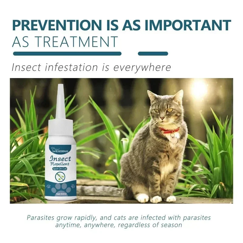 Une bouteille de répulsif pour chats à côté d'un chat tigré dans un environnement extérieur herbeux.
