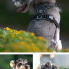 Reflective No-Pull Dog Harness with Quick-Release Buckles