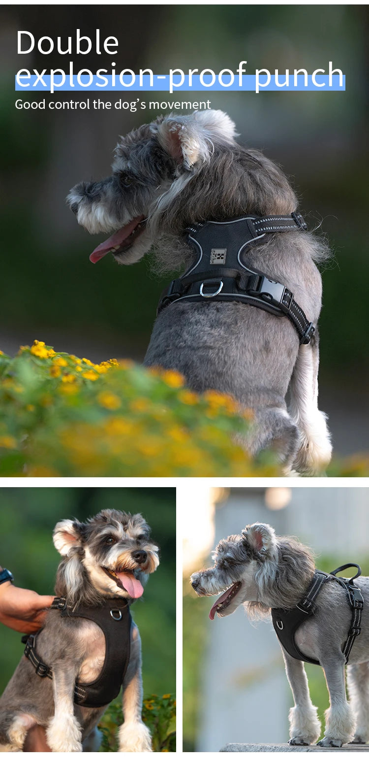 Reflective No-Pull Dog Harness with Quick-Release Buckles