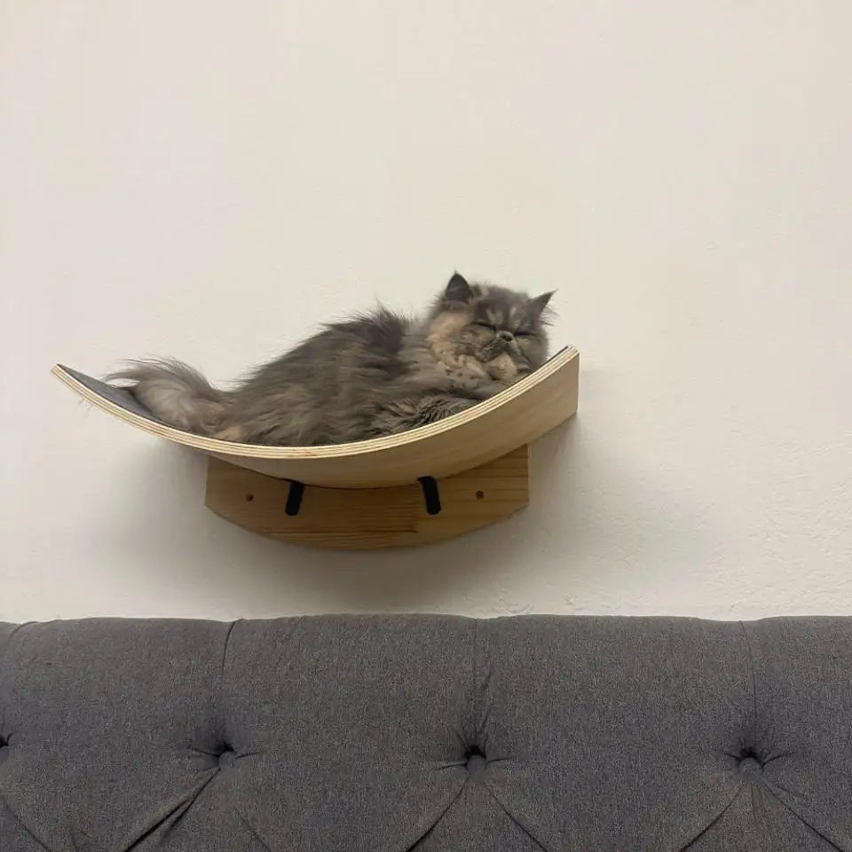 Wall-Mounted Cat Climbing Shelf Set with Hammock and Scratching Posts