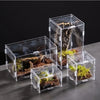 A collection of transparent acrylic reptile terrariums containing moss and small plants.