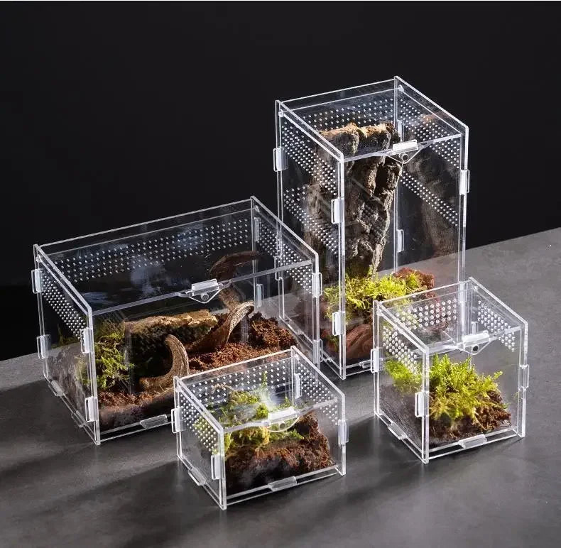 A collection of transparent acrylic reptile terrariums containing moss and small plants.