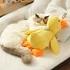 A white and gray cat is resting next to a yellow plush duck dog chew toy on a white surface.